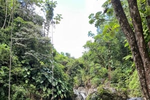 Fajardo: El Yunque Forest Guided Adventure