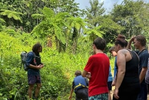 Fajardo: El Yunque Forest Guided Adventure