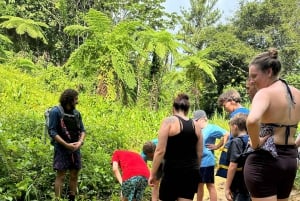 Fajardo: El Yunque Forest Guided Adventure