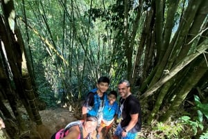 Fajardo: El Yunque Forest Guided Adventure