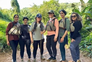 Fajardo: El Yunque Forest Guided Adventure