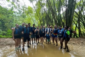 Fajardo: El Yunque Forest Guided Adventure