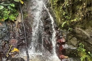 Fajardo: El Yunque Forest Guided Adventure