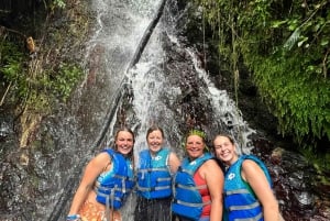 Fajardo: El Yunque Waterslide, Waterfalls, & Rope Swing Tour