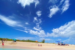 Fajardo: Privat halvdags båtcharter till Icacos eller Palomino