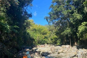 Fajardo: Rainforest guided adventure