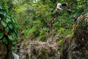 Fajardo: Guidade äventyr i regnskogen