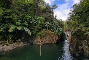 Fajardo: Aventura guiada na floresta tropical
