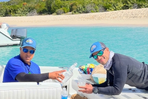 Z Fajardo: nurkowanie z rurką i dzień na plaży w Culebra