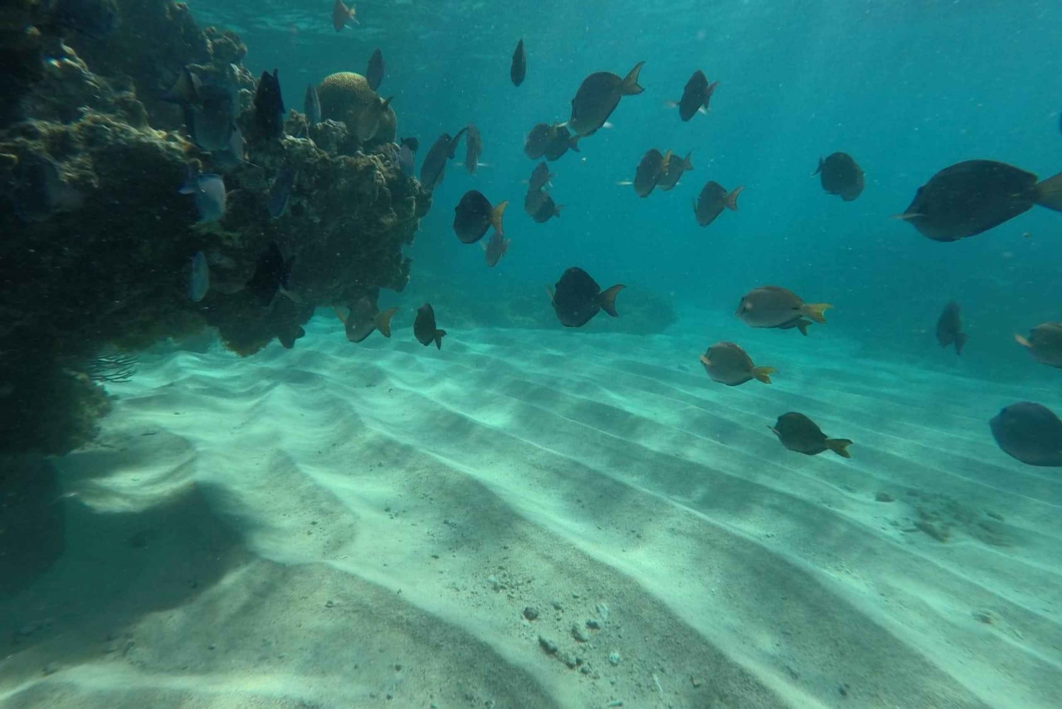Fajardo: Bådtur med snorkling med snacks og drikkevarer