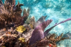 Fajardo: Bådtur med snorkling med snacks og drikkevarer