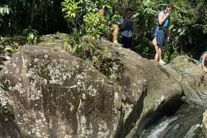 El Yunque Rainforest Famous Waterslide, Waterfalls