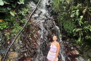 El Yunque Rainforest Famous Waterslide, Waterfalls