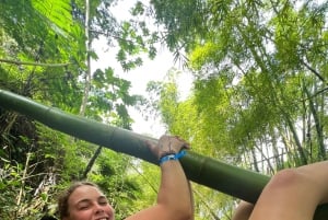 El Yunque Rainforest Famous Waterslide, Waterfalls