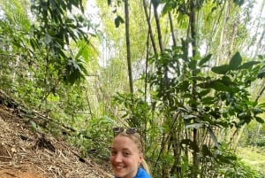 El Yunque Rainforest Famous Waterslide, Waterfalls