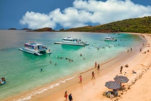 From Fajardo: Full-Day Culebra Islands Catamaran Tour