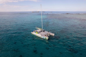 Vanuit Fajardo: Icacos Catamaran Snorkeltour