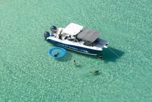 From Fajardo: Power Catamaran Icacos Island Private Trip