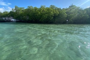 From La Parguera: Local Sandbars Speedboat Day Trip