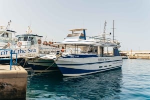 From Puerto Rico de Gran Canaria: Dolphin Watching Cruise