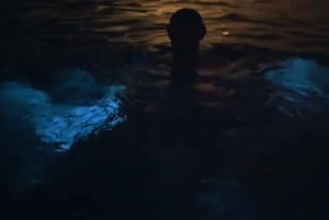 From San Juan: Bio Bay Magic & Rum Tasting Tour