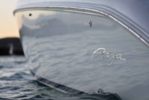 From San Juan: Bio Bay Magic & Rum Tasting Tour