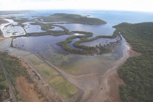 From San Juan: Bio Bay Magic & Rum Tasting Tour