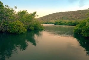 From San Juan: Bio Bay Magic & Rum Tasting Tour