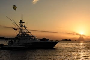 From San Juan: Bio Bay Magic & Rum Tasting Tour