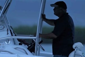 From San Juan: Bio Bay Magic & Rum Tasting Tour