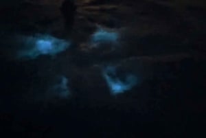 From San Juan: Bio Bay Magic & Rum Tasting Tour