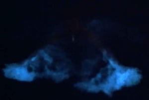 From San Juan: Bio Bay Magic & Rum Tasting Tour