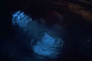 From San Juan: Bio Bay Magic & Rum Tasting Tour