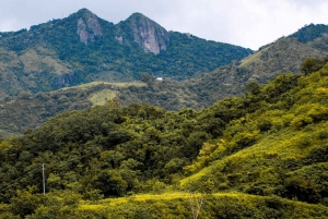 From San Juan: Bioluminescent Bay Boat Tour and Hot Springs