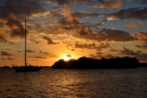 From San Juan: Bioluminescent Bay Boat Tour and Hot Springs