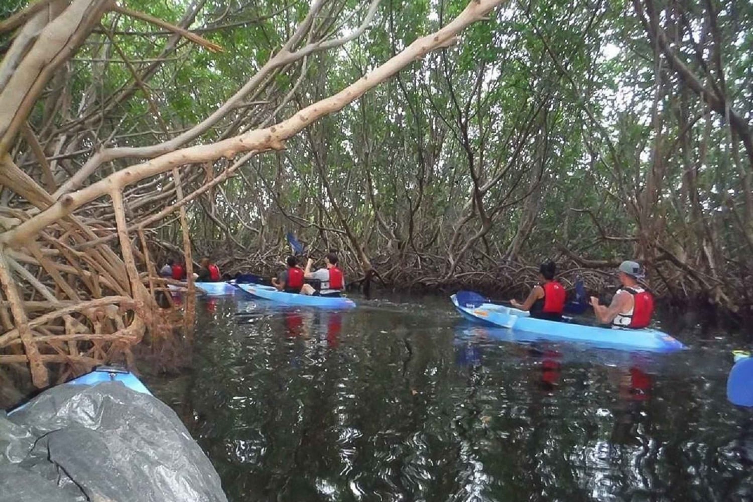 Von San Juan aus: Biolumineszierende Bucht Kajakabenteuer bei Nacht
