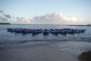 Von San Juan aus: Biolumineszierende Bucht Kajakabenteuer bei Nacht