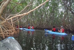 Von San Juan aus: Biolumineszierende Bucht Kajakabenteuer bei Nacht