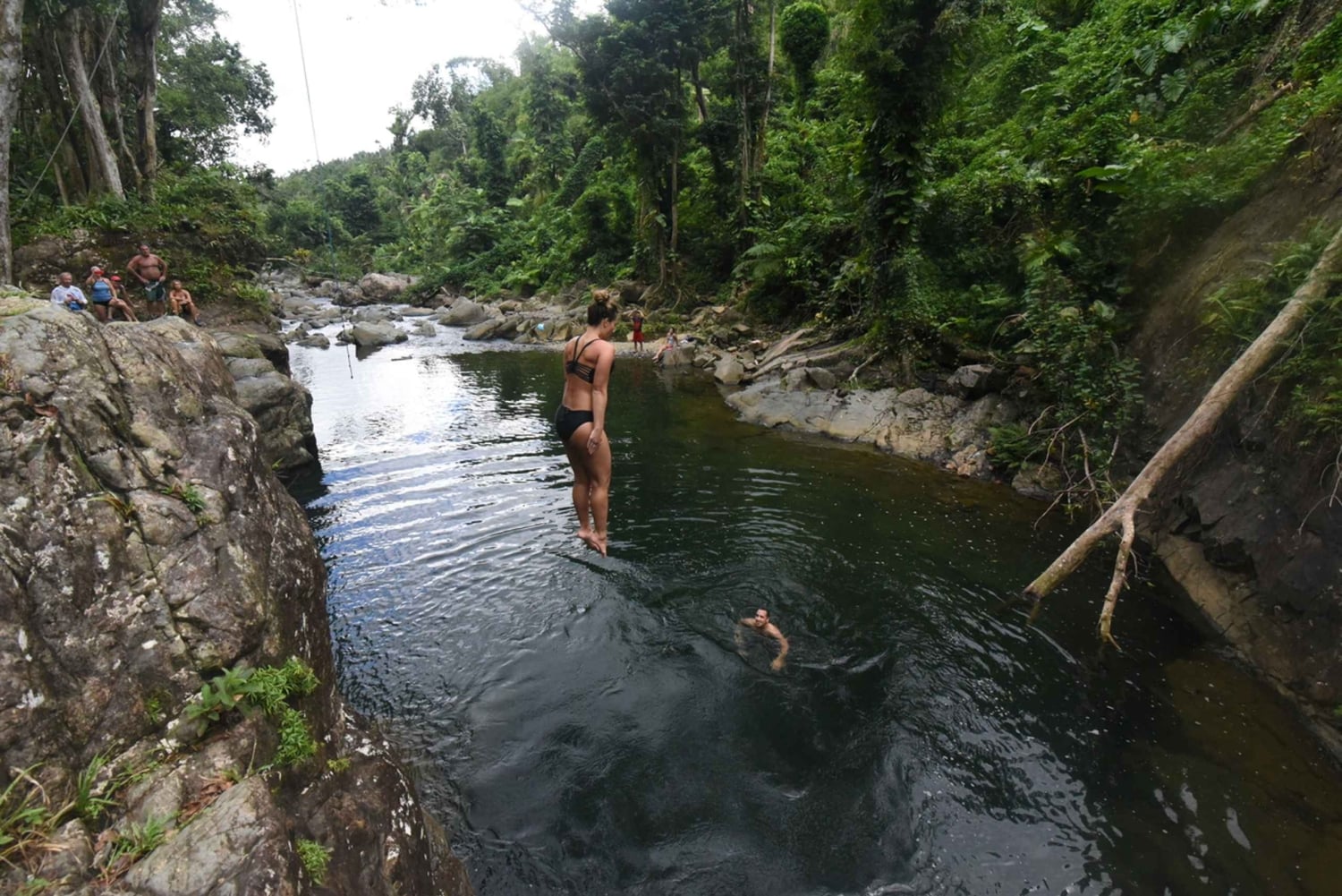 Desde San Juan: tour combinado de caminata por el bosque El Yunque y tirolesa