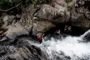 From San Juan: El Yunque Forest Hike & Ziplining Combo Tour