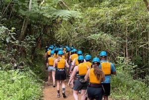 Desde San Juan: tour combinado de caminata por el bosque El Yunque y tirolesa