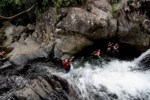Desde San Juan: tour combinado de caminata por el bosque El Yunque y tirolesa