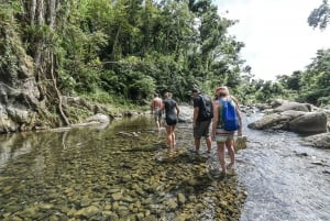 From San Juan: El Yunque Forest Off the Beaten Path Tour