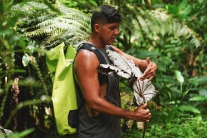 Da San Juan: Tour della foresta pluviale e degli acquascivoli di El Yunque