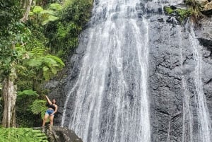 From San Juan: El Yunque Rainforest & Luquillo Beach Tour