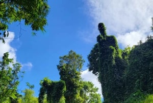 From San Juan: El Yunque Rainforest & Luquillo kiosks Tour