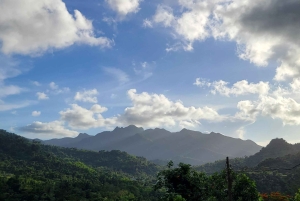 Vanuit San Juan: El Yunque Regenwoud & Luquillo Kiosken Tour
