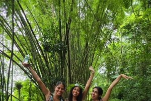 Vanuit San Juan: El Yunque Regenwoud & Luquillo Kiosken Tour