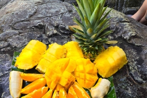 Vanuit San Juan: El Yunque Regenwoud & Luquillo Kiosken Tour