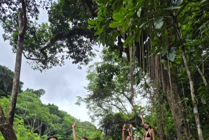 Vanuit San Juan: El Yunque Regenwoud & Luquillo Kiosken Tour